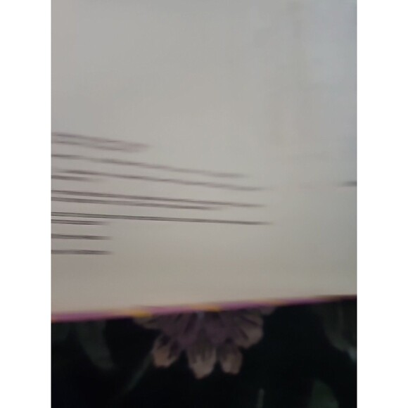 Rare Favorite Lullabies to Read Aloud, Bill Gutman, J Ellen Dolce Lullabies Book - Picture 6 of 14